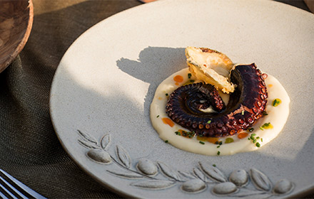 Lezzet Durakları: Belek Gastronomi Rehberi ve Yerel Tatlar