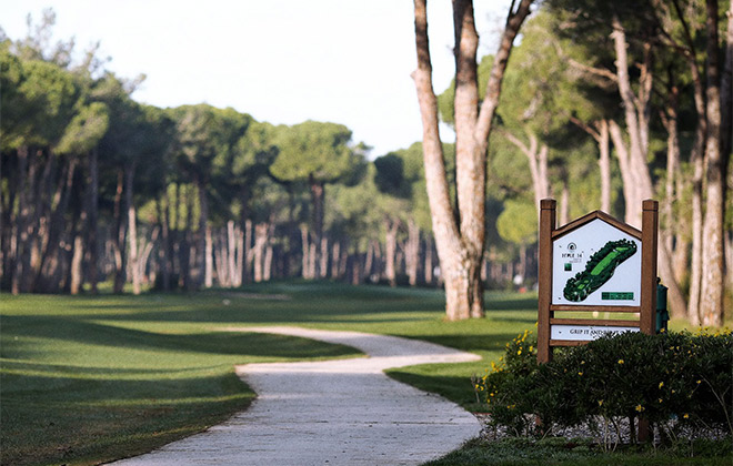 Robinson Golf Club Nobilis