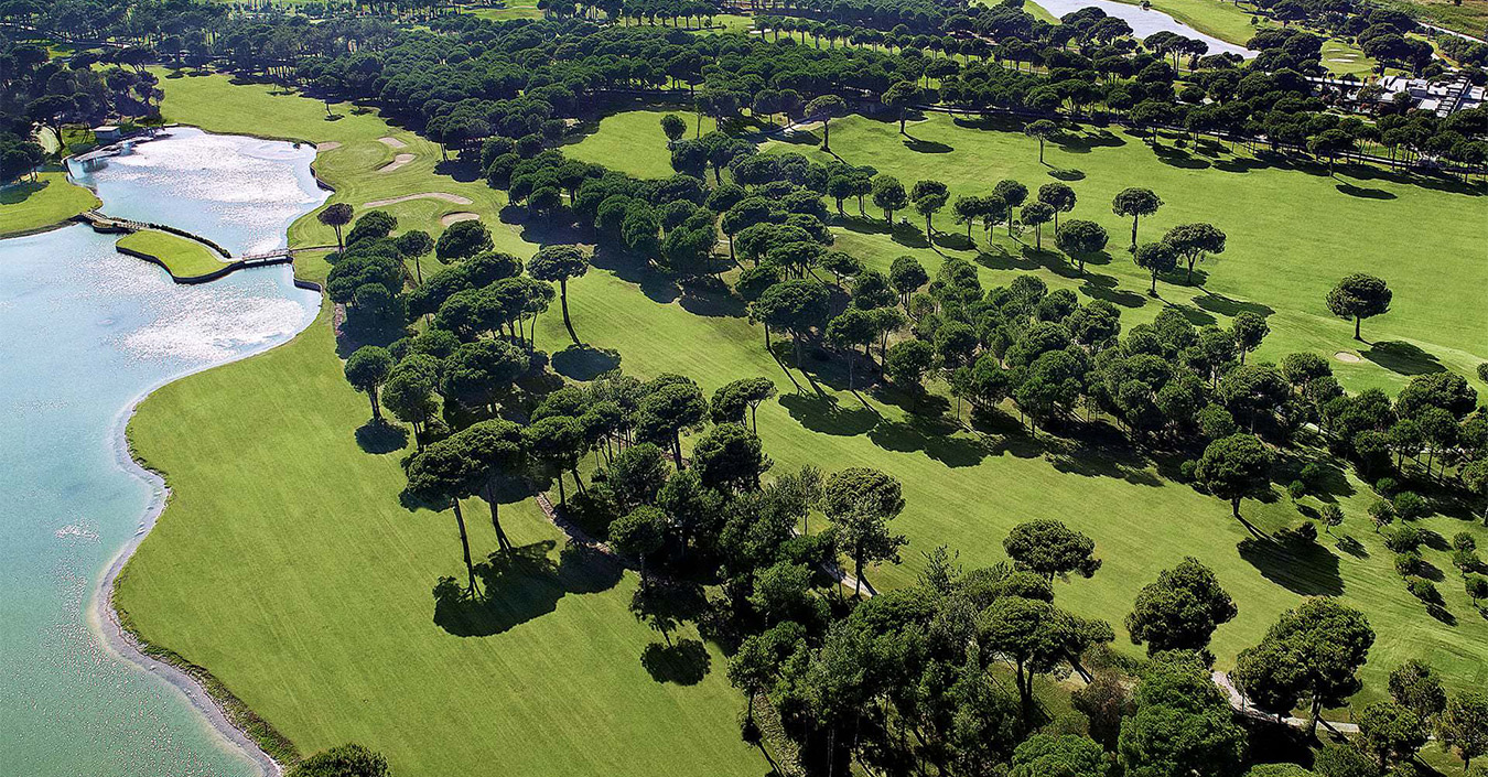 gobelek-gloria-banner.jpg