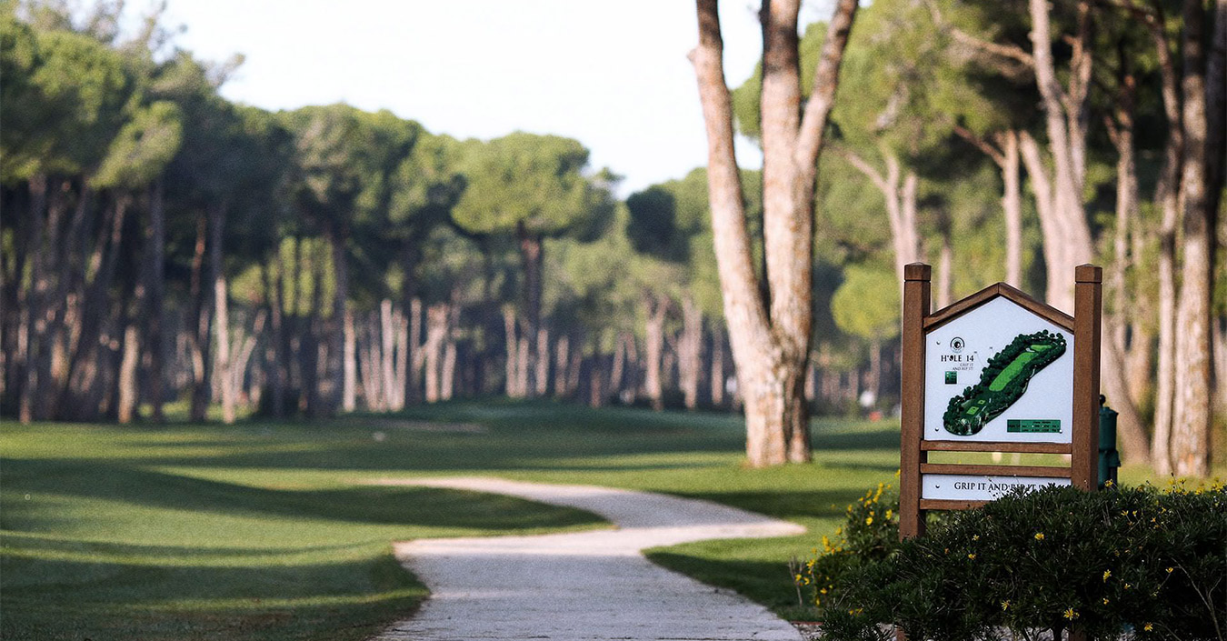 gobelek-robinson-banner.jpg